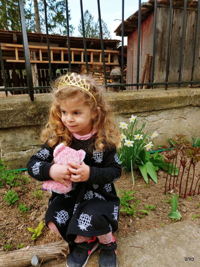 רומניה פסח 2019